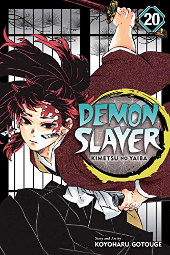Demon Slayer Kimetsu no Yaiba, Vol. 20 [Paperback]