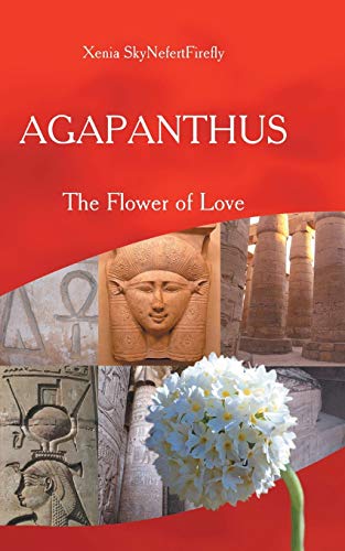 Agapanthus The Flower Of Love [Paperback]
