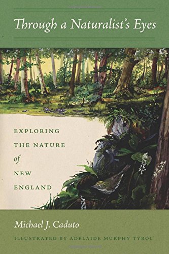 Through a Naturalist's Eyes Exploring the Nature of New England [Paperback]