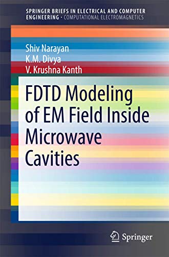 FDTD Modeling of EM Field inside Microwave Cavities [Paperback]