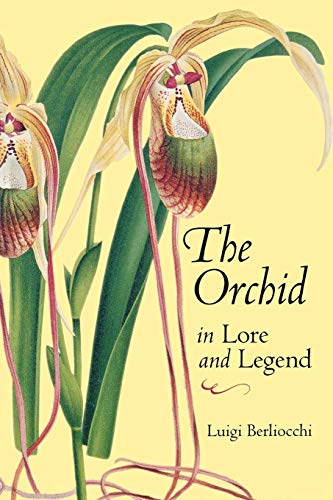 The Orchid In Lore And Legend [Paperback]