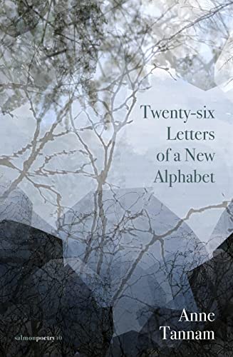 Twenty-Six Letters of a New Alphabet [Paperback]