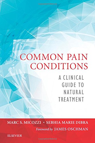 Common Pain Conditions A Clinical Guide to Natural Treatment [Paperback]