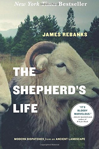 The Shepherd's Life Modern Dispatches from an Ancient Landscape [Paperback]