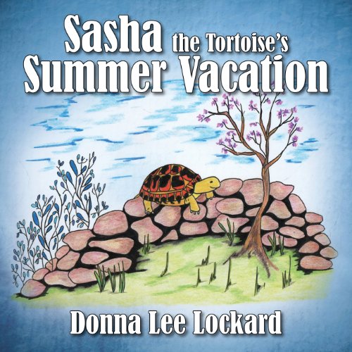 Sasha The Tortoise's Summer Vacation [Paperback]