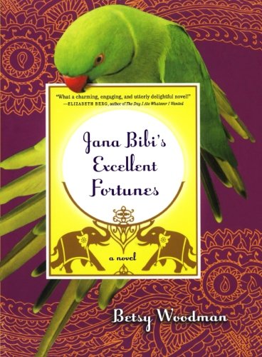 Jana Bibi's Excellent Fortunes A Novel [Paperback]