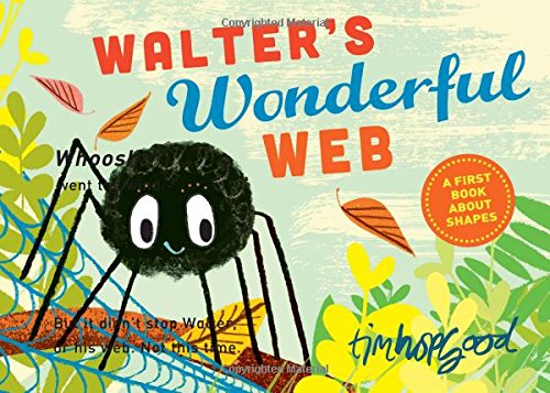 Walter's Wonderful Web A First Book About Shapes [Hardcover]