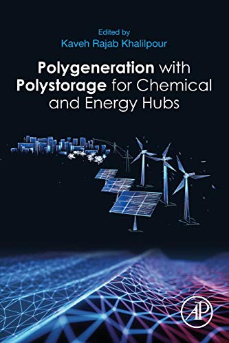 Polygeneration with Polystorage For Chemical and Energy Hubs [Paperback]