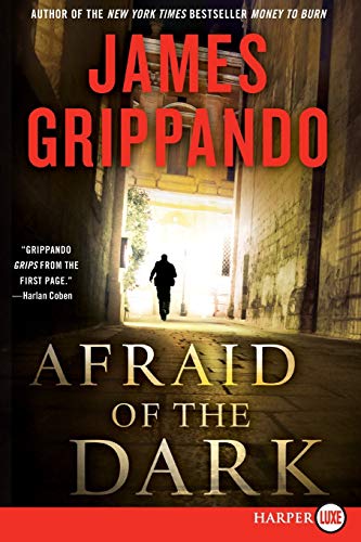 Afraid of the Dark A Novel of Suspense [Paperback]