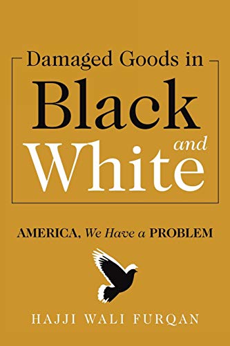 Damaged Goods In Black And White America, We Have A Problem [Paperback]