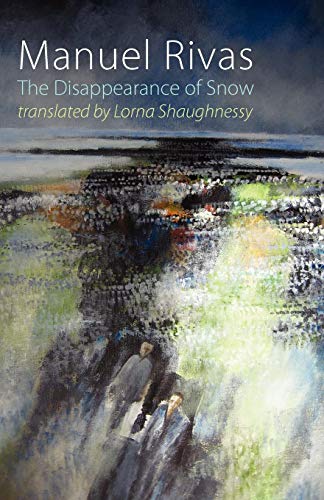 The Disappearance Of Snow [Paperback]