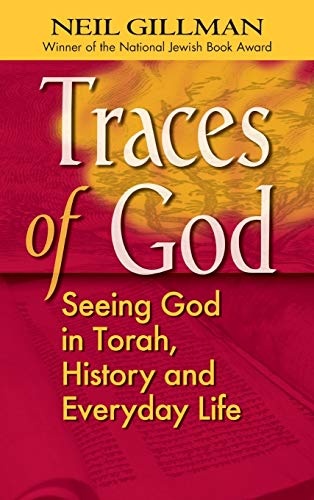 Traces of God Seeing God in Torah, History and Everyday Life [Hardcover]