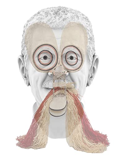 Tavares Strachan In Plain Sight [Hardcover]