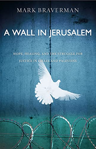 A Wall in Jerusalem Hope, Healing, and the Struggle for Justice in Israel and P [Paperback]