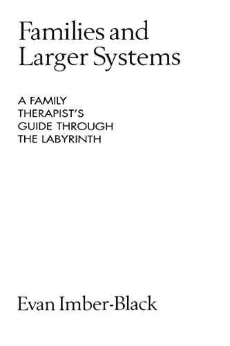 Families and Larger Systems A Family Therapist&39s Guide through the Labyrint [Paperback]