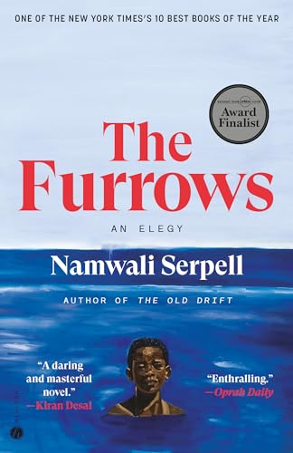The Furrows A Novel [Paperback]