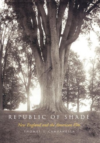 Republic of Shade New England and the American Elm [Paperback]
