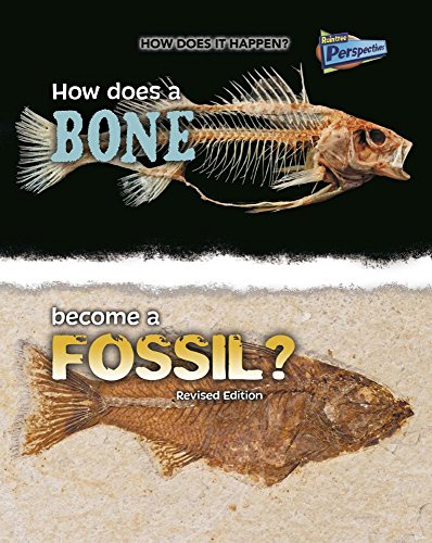 How Does A Bone Become A Fossil (how Does It Happen) [Paperback]