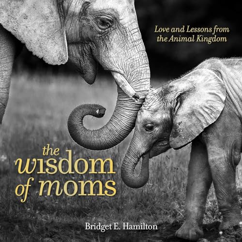 The Wisdom of Moms Love and Lessons From the Animal Kingdom [Hardcover]