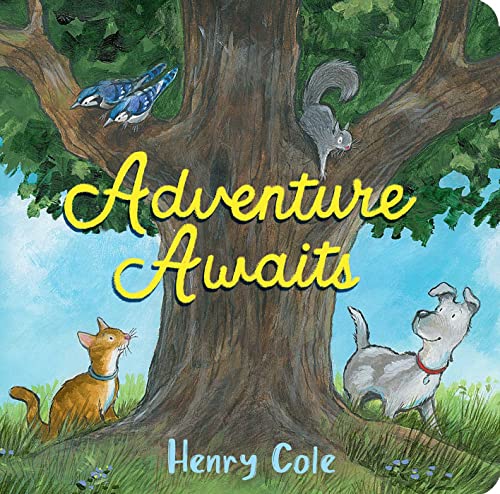 Adventure Awaits [Board book]