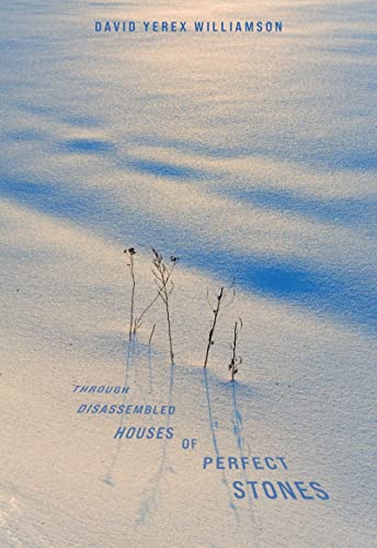 Through Disassembled Houses of Perfect Stones [Paperback]