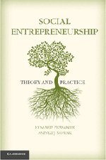 Social Entrepreneurship Theory and Practice [Hardcover]