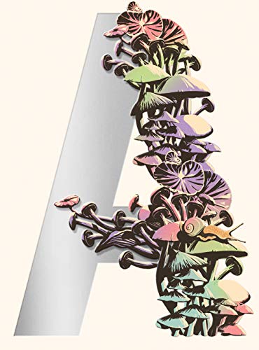 Ambergris City of Saints and Madmen Shriek An Afterword Finch [Hardcover]