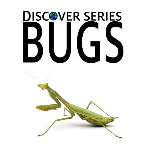 Bugs  Discover Series [Paperback]