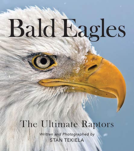 Bald Eagles The Ultimate Raptors [Paperback]