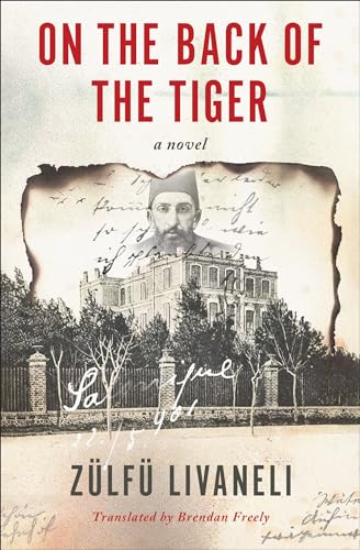 On the Back of the Tiger A Novel [Paperback]