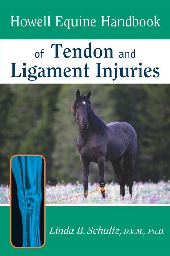 Howell Equine Handbook of Tendon and Ligament Injuries [Paperback]