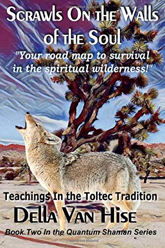 Scrawls On The Walls Of The Soul The Journey Of The Quantum Shaman [Paperback]