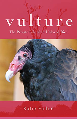 Vulture The Private Life of an Unloved Bird [Paperback]