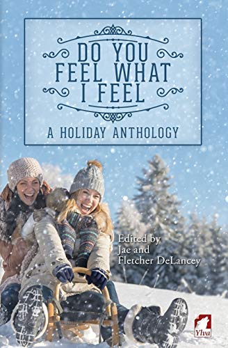 Do You Feel What I Feel. A Holiday Anthology [Paperback]
