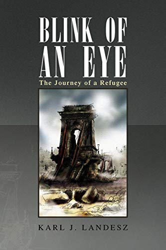 Blink of an Eye [Paperback]