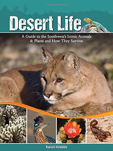 Desert Life A Guide to the Southwest's Iconic Animals & Plants and How They [Paperback]