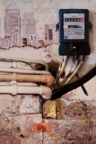 Automatic Safe Dog (paperback) [Paperback]