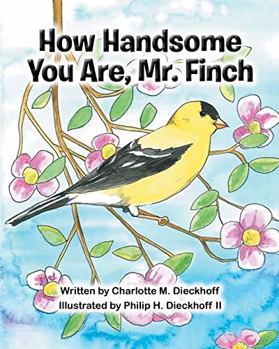 How Handsome You Are Mr. Finch [Paperback]