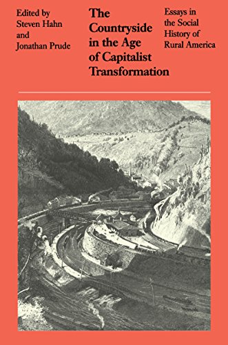 The Countryside In The Age Of Capitalist Transformation [Paperback]