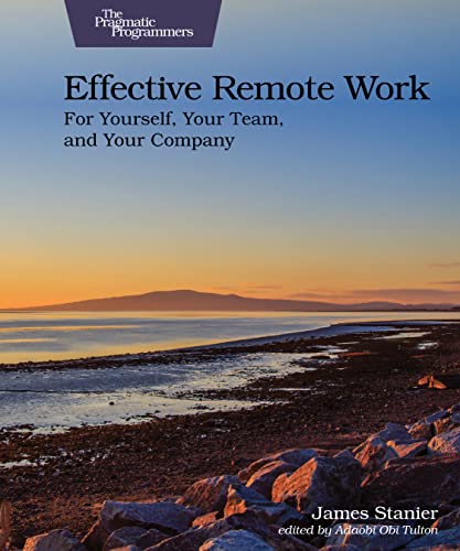Effective Remote Work For Yourself, Your Team, and Your Company [Paperback]