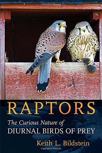 Raptors The Curious Nature Of Diurnal Birds Of Prey [Hardcover]