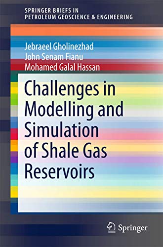 Challenges in Modelling and Simulation of Shale Gas Reservoirs [Paperback]