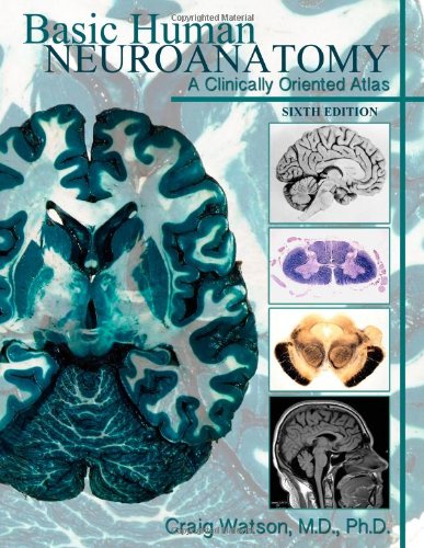 Basic Human Neuroanatomy A Clinically Oriented Atlas [Paperback]