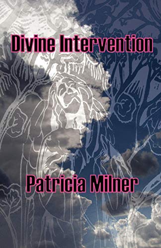 Divine Intervention [Paperback]