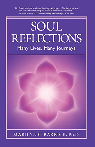 Soul Reflections Many Lives, Many Journeys [Paperback]