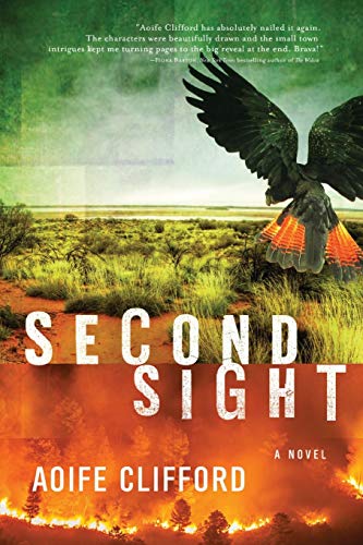 Second Sight A Novel [Paperback]
