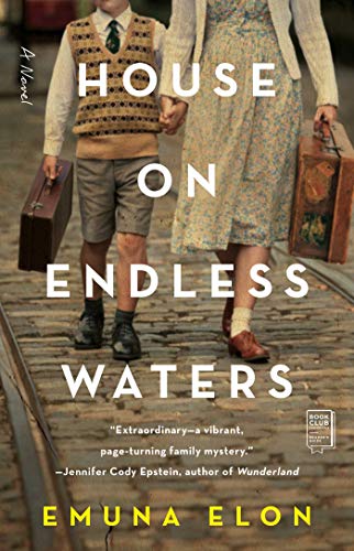 House on Endless Waters A Novel [Paperback]