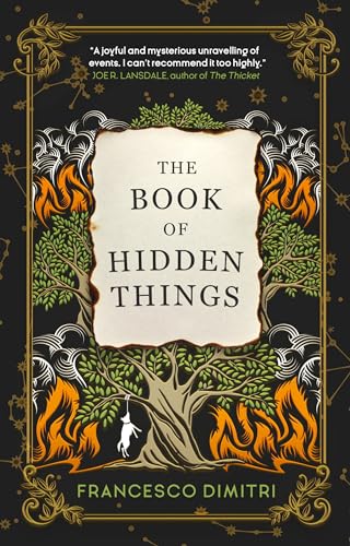 The Book of Hidden Things [Paperback]