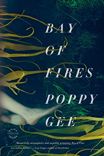Bay of Fires A Novel [Paperback]