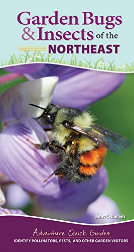 Garden Bugs & Insects of the Northeast Identify Pollinators, Pests, and Oth [Spiral bound]